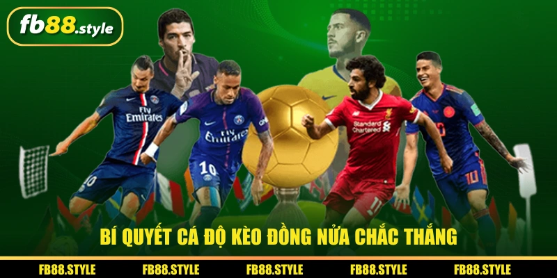 Kèo Đồng Nửa Là Gì? Cách Đọc Kèo Và Bí Kíp Chuyên Gia Bật Mí 3 Bí quyết cá độ kèo đồng nửa chắc thắng